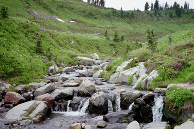 stream